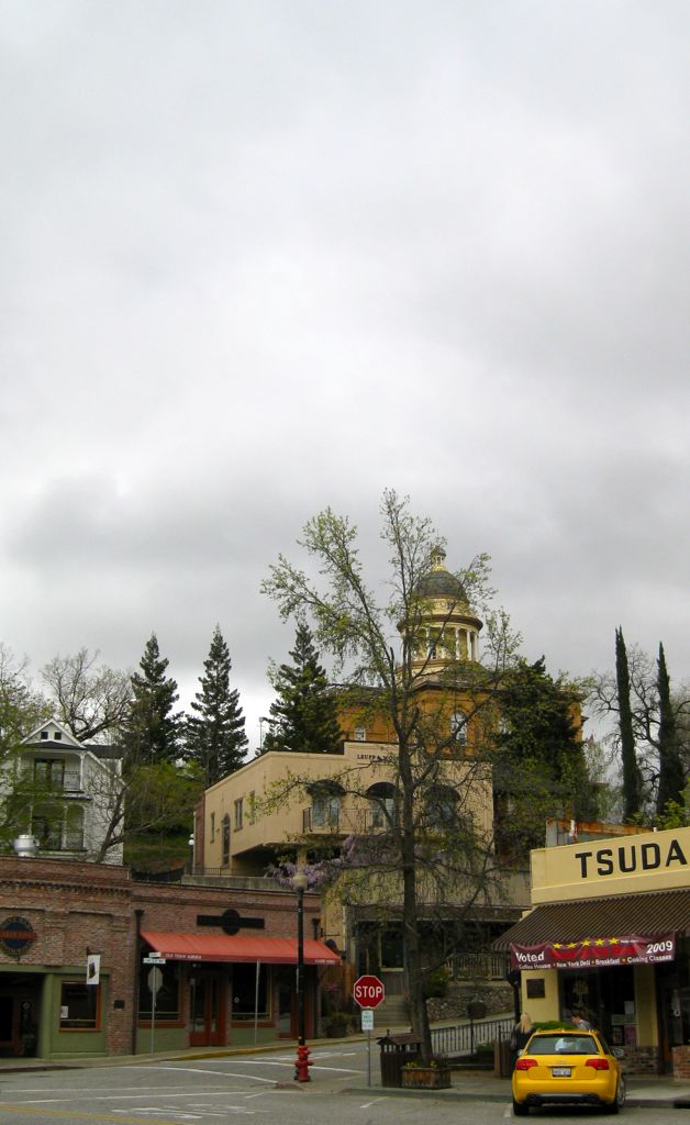 Bumble Wagon with the court house in the background/