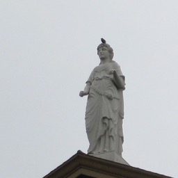 Little birdie keeping the statue company/
		    