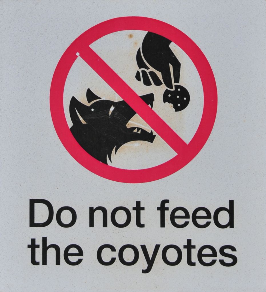 No cookies to the coyotes/