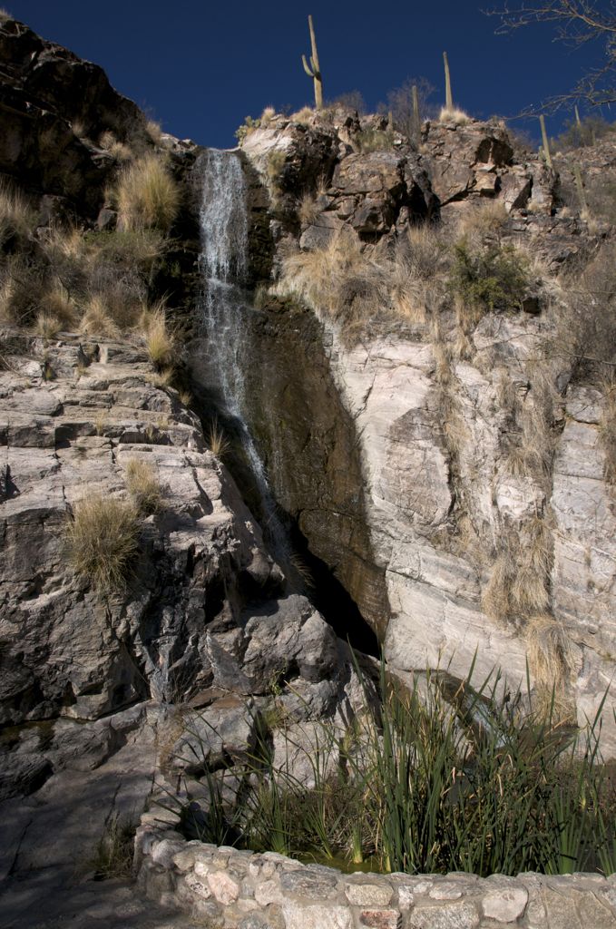 And the resident waterfall, which is pumped 8 months out of the year!/