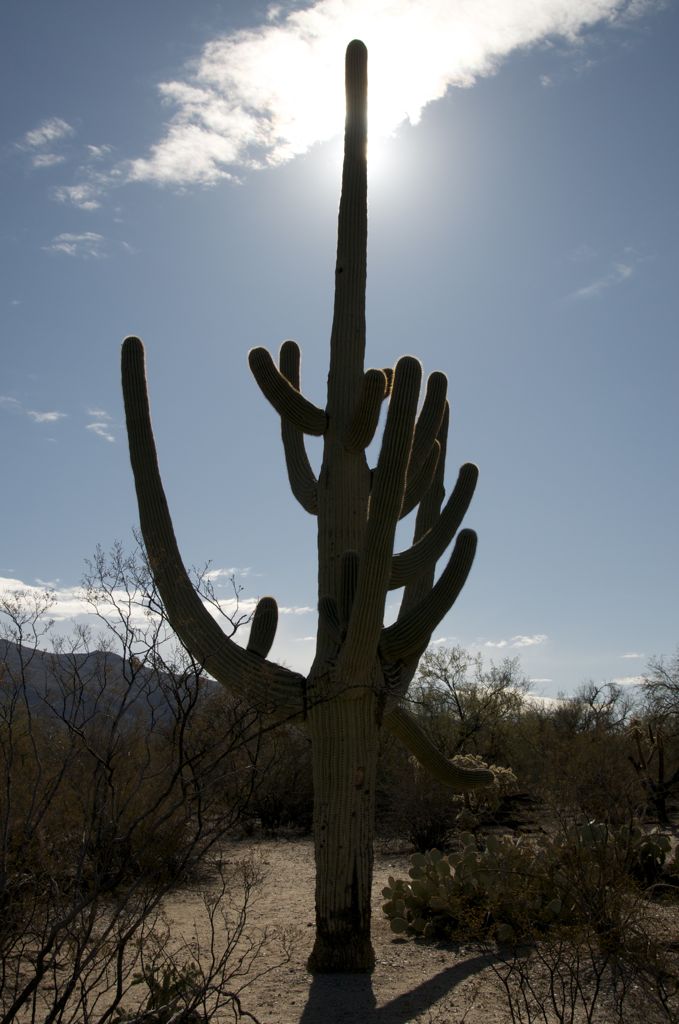 Each of them have their own personality/