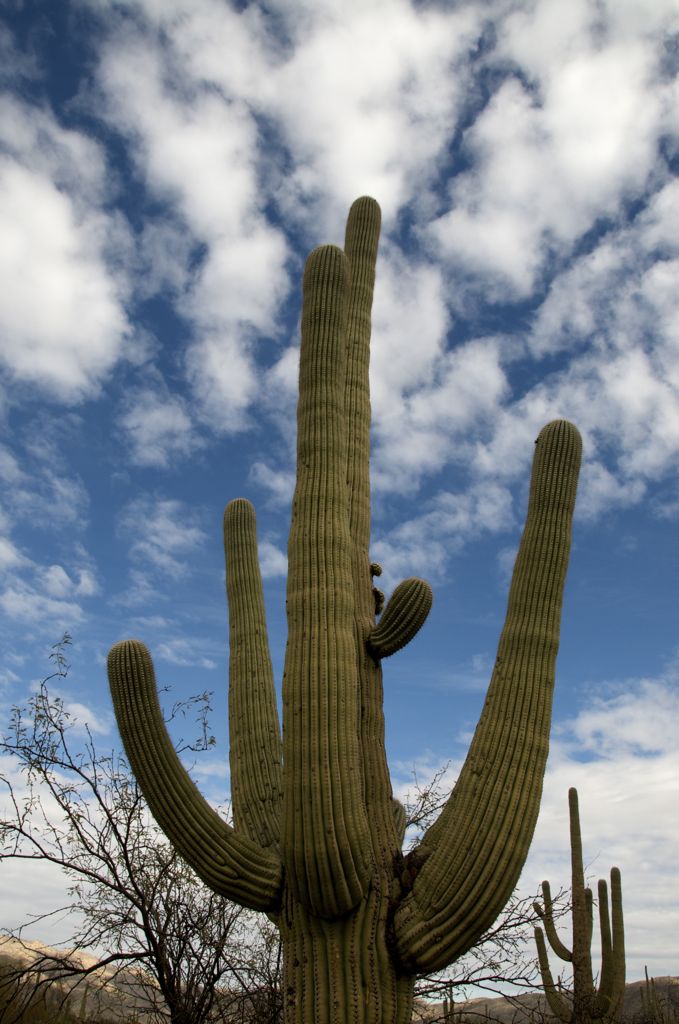 Unique like clouds /