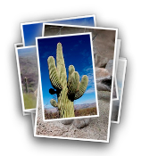 Seguaro NP, AZ