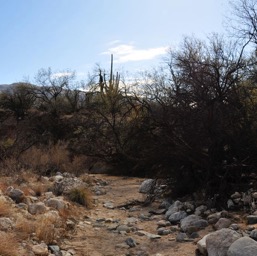 Hiking the wash/
		    