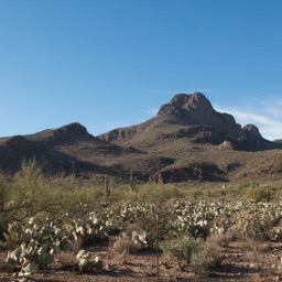 Hat Mountain/
		    