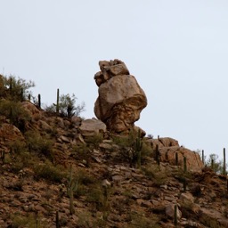 Rock & Saguaros/
		    