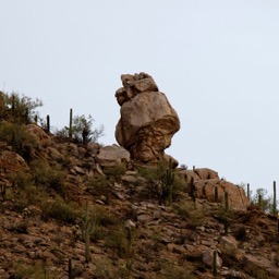 Rock & Saguaros/
		    