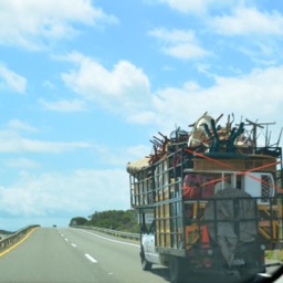 ...and it's moving day!/
		    