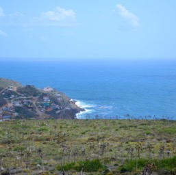 Oh, the ocean... so pretty/
		    
