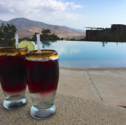 Enjoying a welcome sangria/
		    