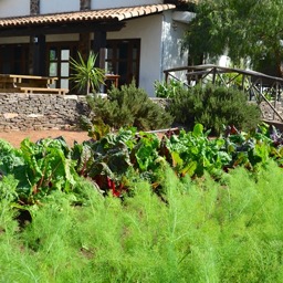 Where they grow all of their own veggies/
		    