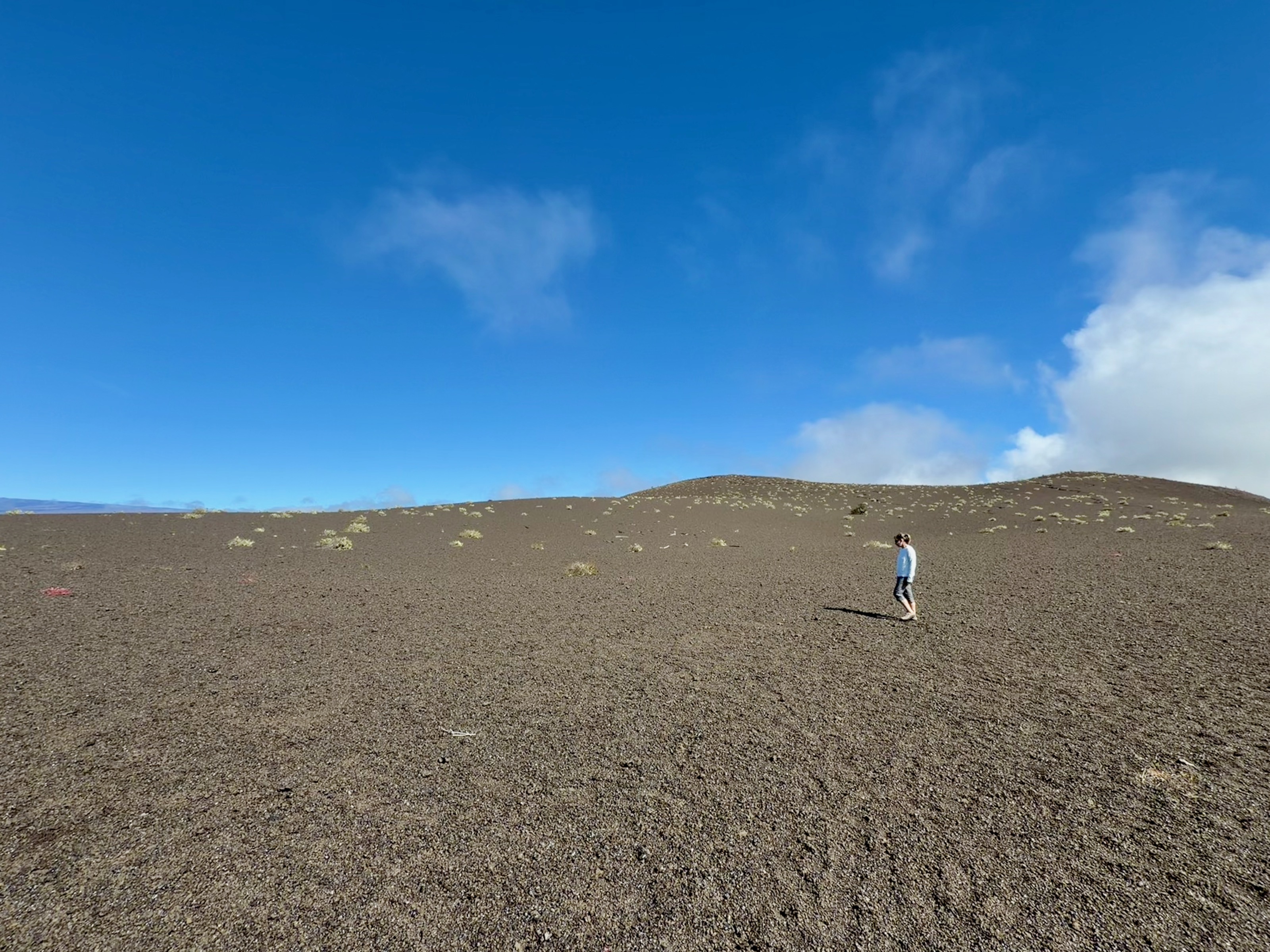 Assana pondering the devastation/