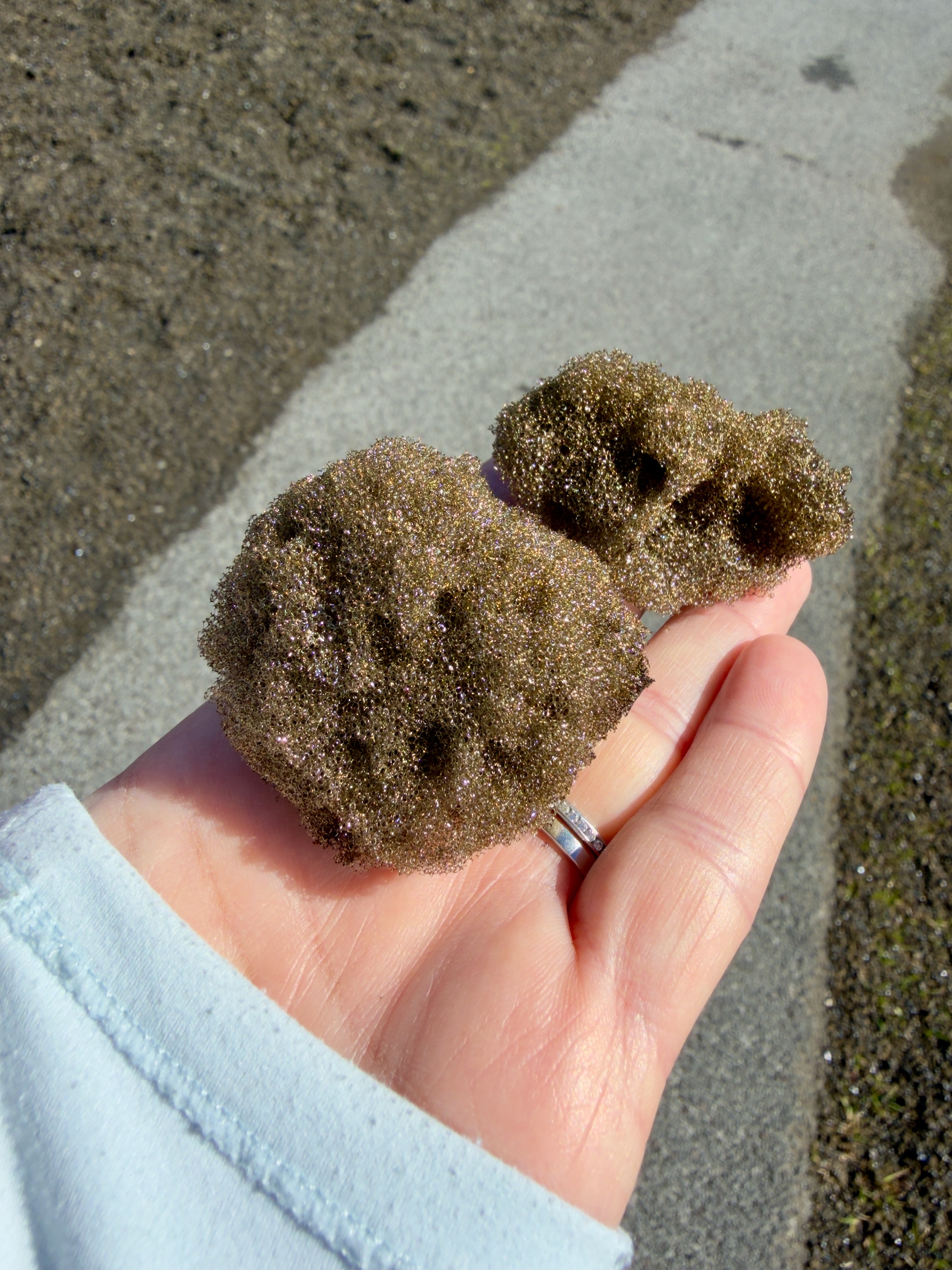 Weirdo spongy looking laval/