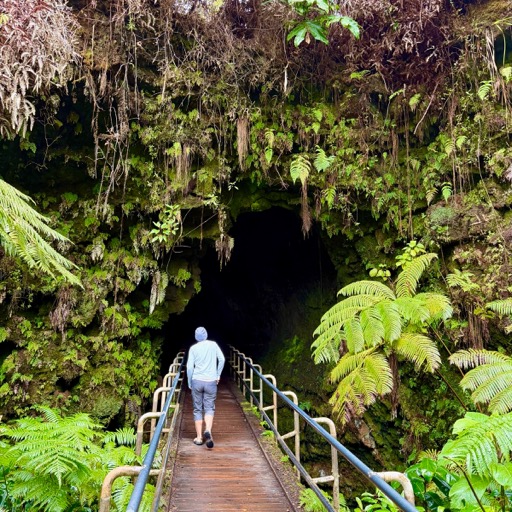 Nāhuku Trail into the lava tube/
		    