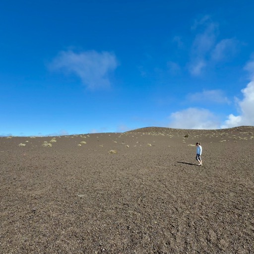 Assana pondering the devastation/
		    