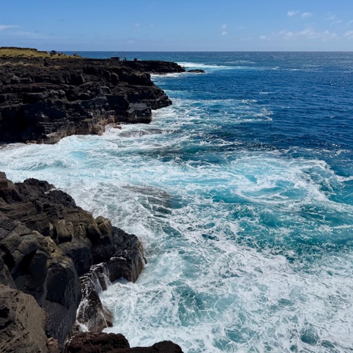 The South Point: the southern most point of the US/
		    