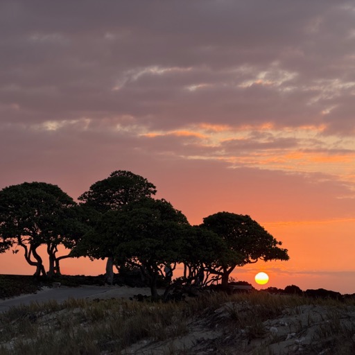 
		    72-182 Kumukehu St, Kailua-Kona, HI 96740, USA