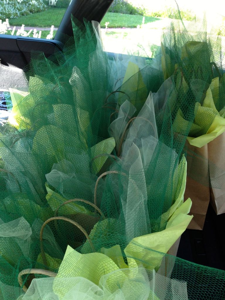 Gifts loaded in the car/