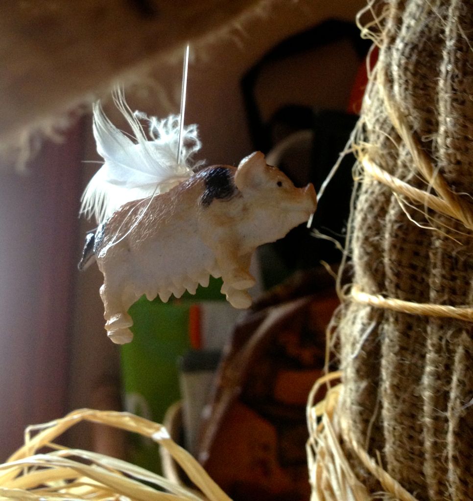 Pigs will fly tomorrow!/