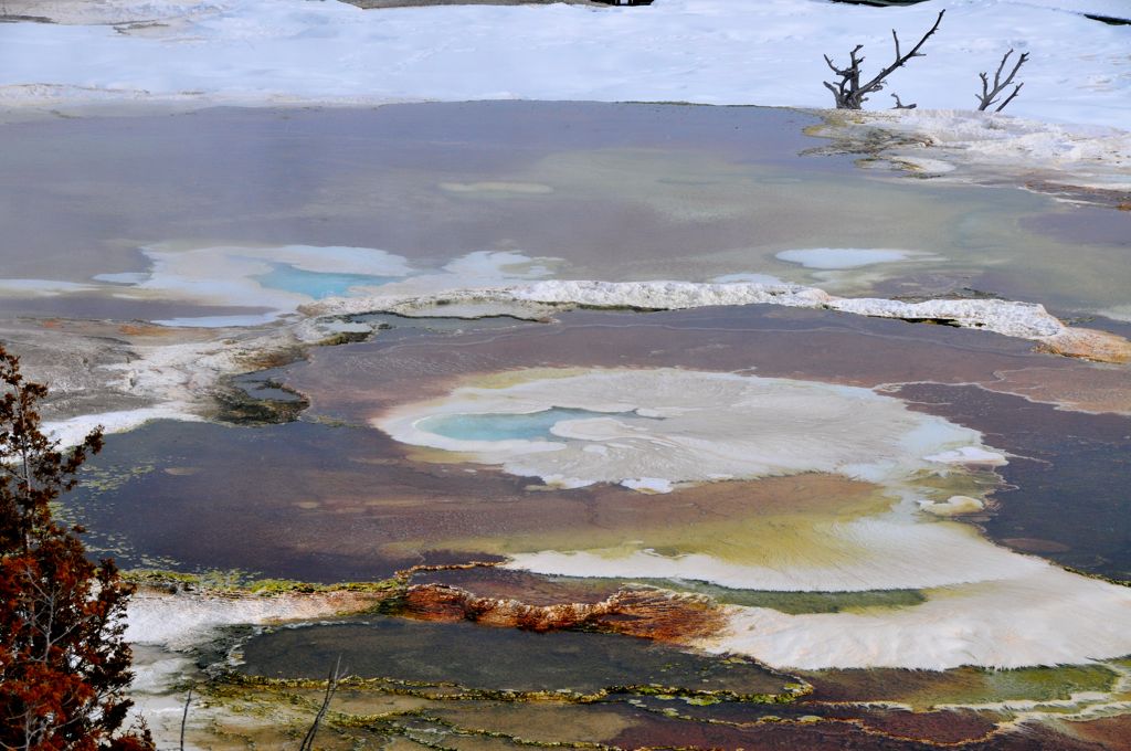 Mammoth Hot Springs/