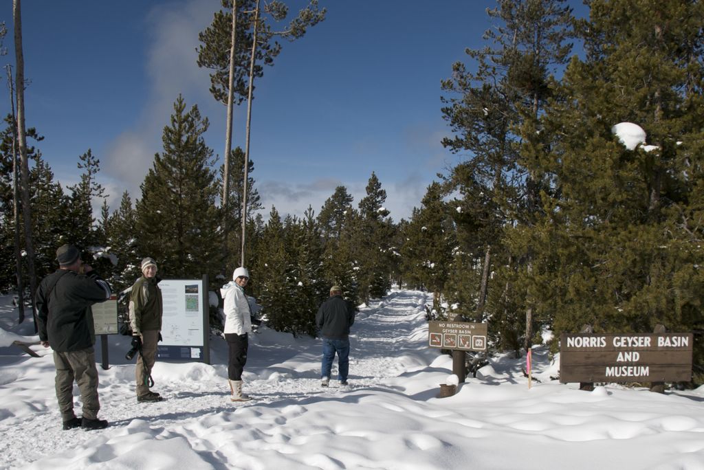 Heading down to Norris Geyser Basin/