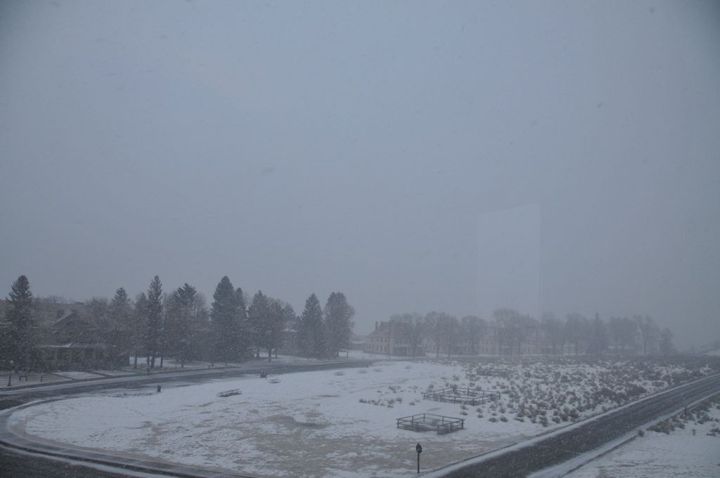 The last night's snowfall/