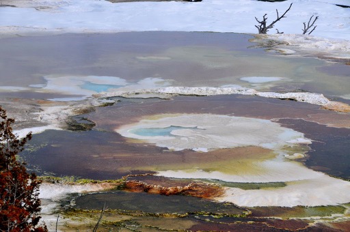 Mammoth Hot Springs