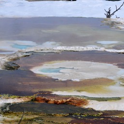 Mammoth Hot Springs/
		    