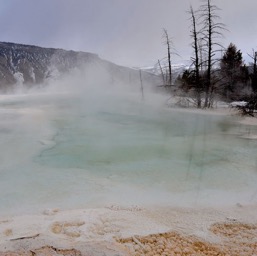 More springs/
		    