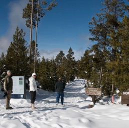 Heading down to Norris Geyser Basin/
		    