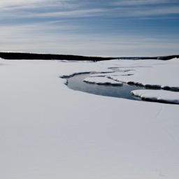 Nothing but untouched snow/
		    