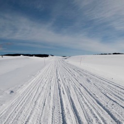 Empty roads... and why we needed tank tires/
		    