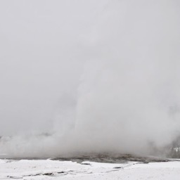 Steamy landscape/
		    