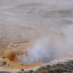 A hole full of boiling water... why not!/
		    