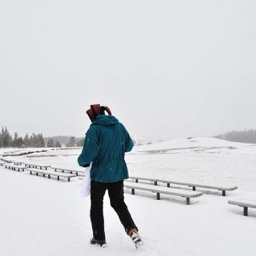 Old Faithful to ourselves!/
		    