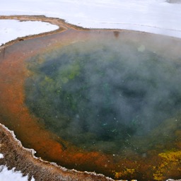 The Chromatic Pool/
		    