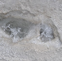 Twin boiling holes/
		    