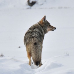 ... then contemplating a bit.../
		    