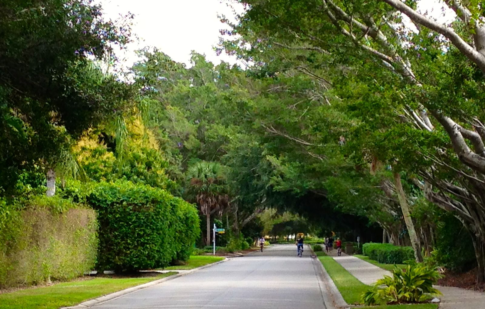 A bike ride to the beach/