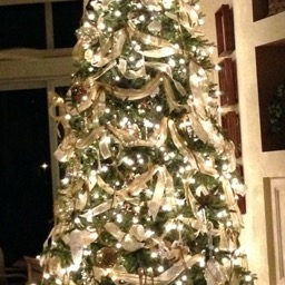 George's beautiful xmas tree/
		    