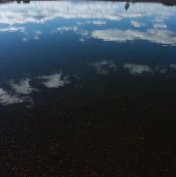 Yellowstone Lake/
		    