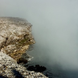 Steam from the geysers /
		    