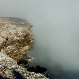 Steam from the geysers /
		    