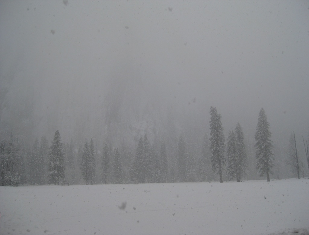 She was very snowy.../