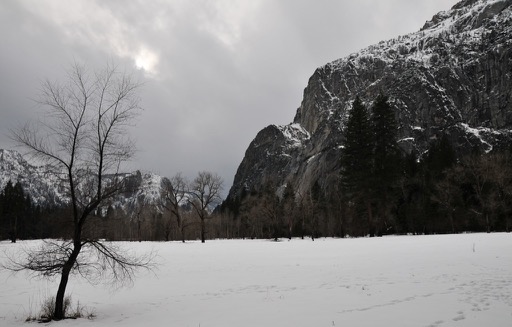 Yosemite Valley