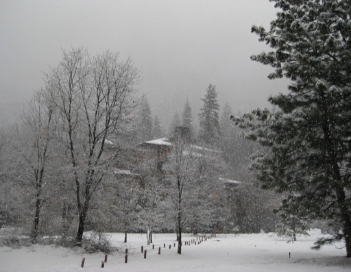 The Ahwahnee