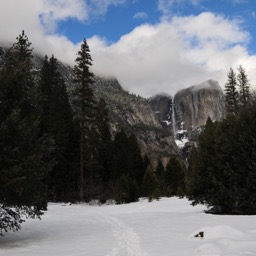 Yosemite falls/
		    