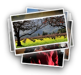 Yountville, CA