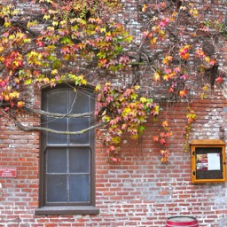 Love the bicycle rack/
		    