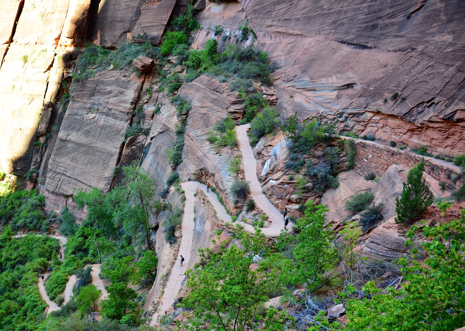 Fortunately most of the trail is in the shade/
